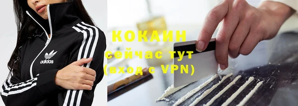 прущие крисы Гусев