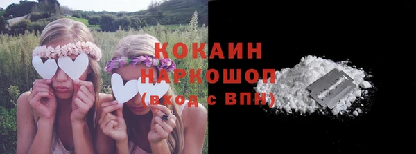 jwh Гусь-Хрустальный
