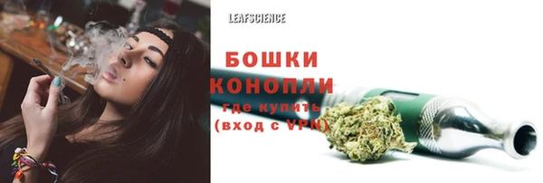 jwh Гусь-Хрустальный