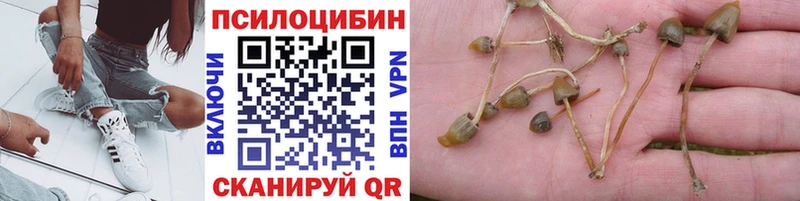 Псилоцибиновые грибы ЛСД  как найти   Томск 