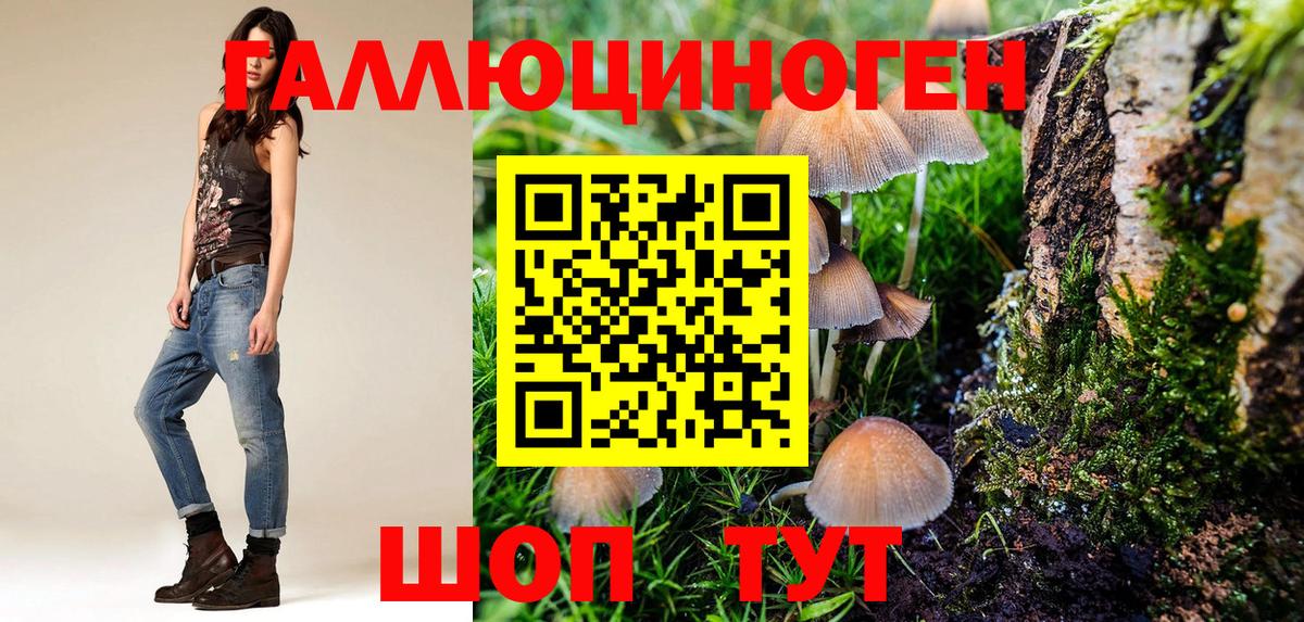 Псилоцибиновые грибы GOLDEN TEACHER  Галлюциногенные грибы мицелий  дарнет шоп  Томск  Вход с VPN 